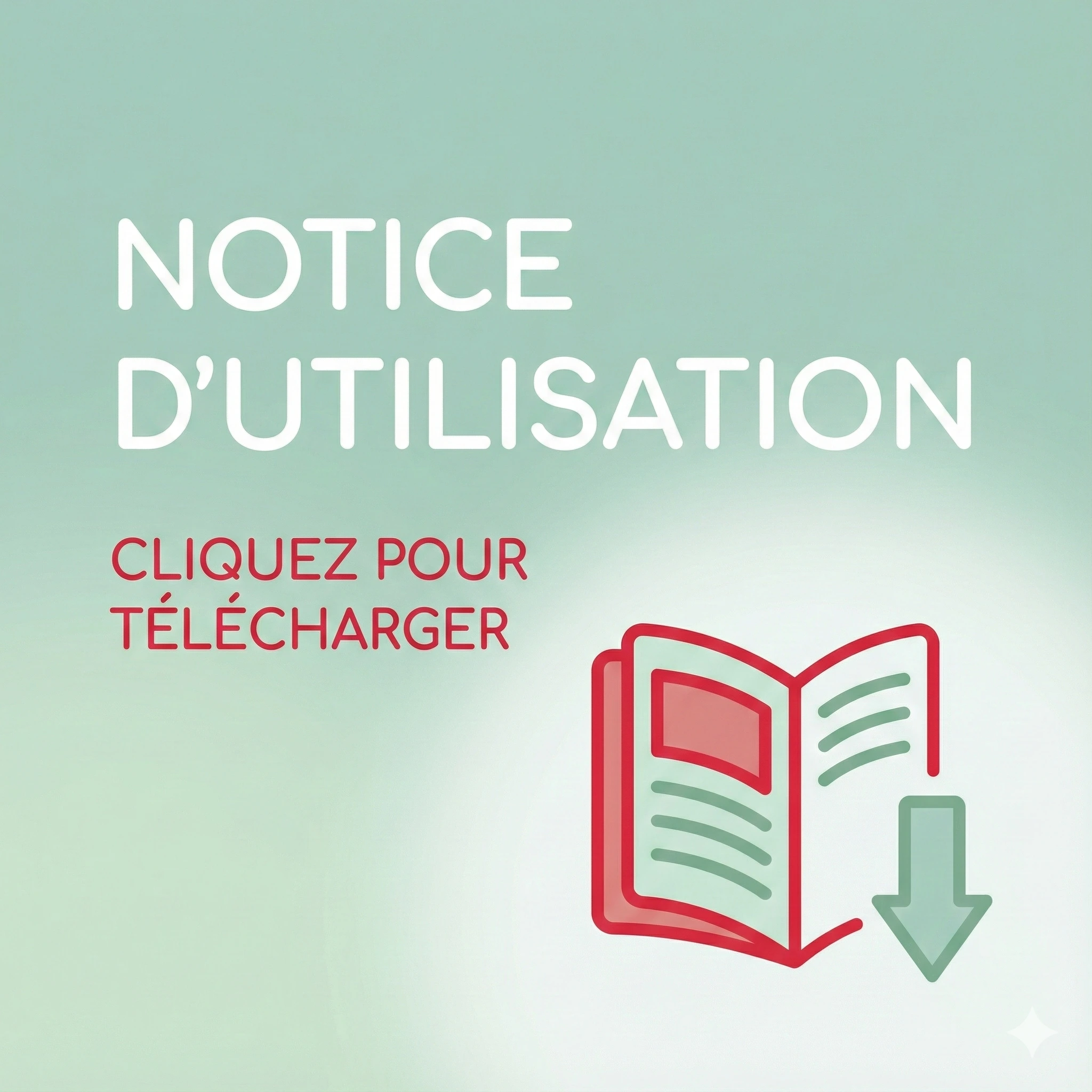 Télécharger la notice